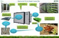 Animal hydroponic fodder machine/ Hydroponic feed machine 5