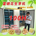 Peanut bud seedling integrated machine/