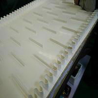 Cleated conveyor belt 3