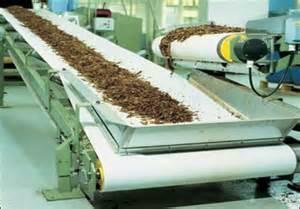 tobacco industry conveyor belt 2