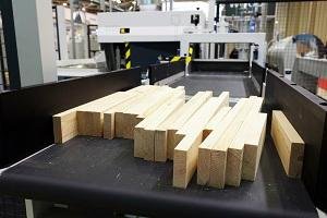 wood industry conveyor belt 3