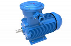 Three phase ac motor