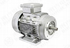 Three phase ac motor