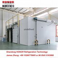 Freezer Cold Storage Room for Fish Fruit Vegetable