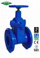 Cast Iron Resilient Seat Gate Valve