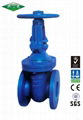 Flanged Cast Iron Metal Sealed Inside Screw Nonrising Stem Gate Valve BS 3464 1