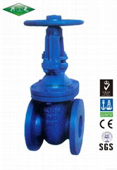 Flanged Cast Iron Metal Sealed Inside Screw Nonrising Stem Gate Valve BS 3464