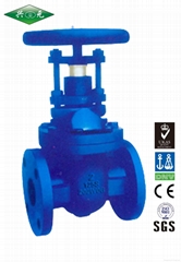 API CAST IRON GATE VALVE