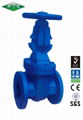 cast iron valve 1