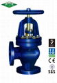 Flanged Cast Iron Angle Valve 1