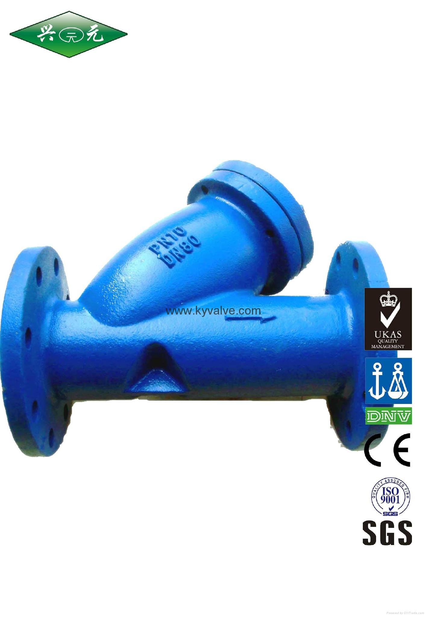 Flanged Ductile Iron Y Type Strainer