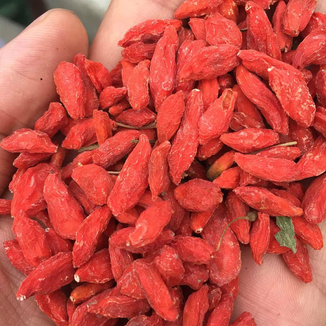 orgnic chinese wolfberry 280 qiyuanxin (China Manufacturer) Dried Fruits Agricultural