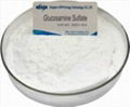 Glucosamine sulfate