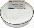 Xanthan gum 1