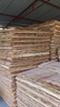 Eucalyptus Core Veneer 3