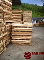 ROUGH SAWN TIMBER 3