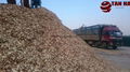 WOOD CHIPS 1