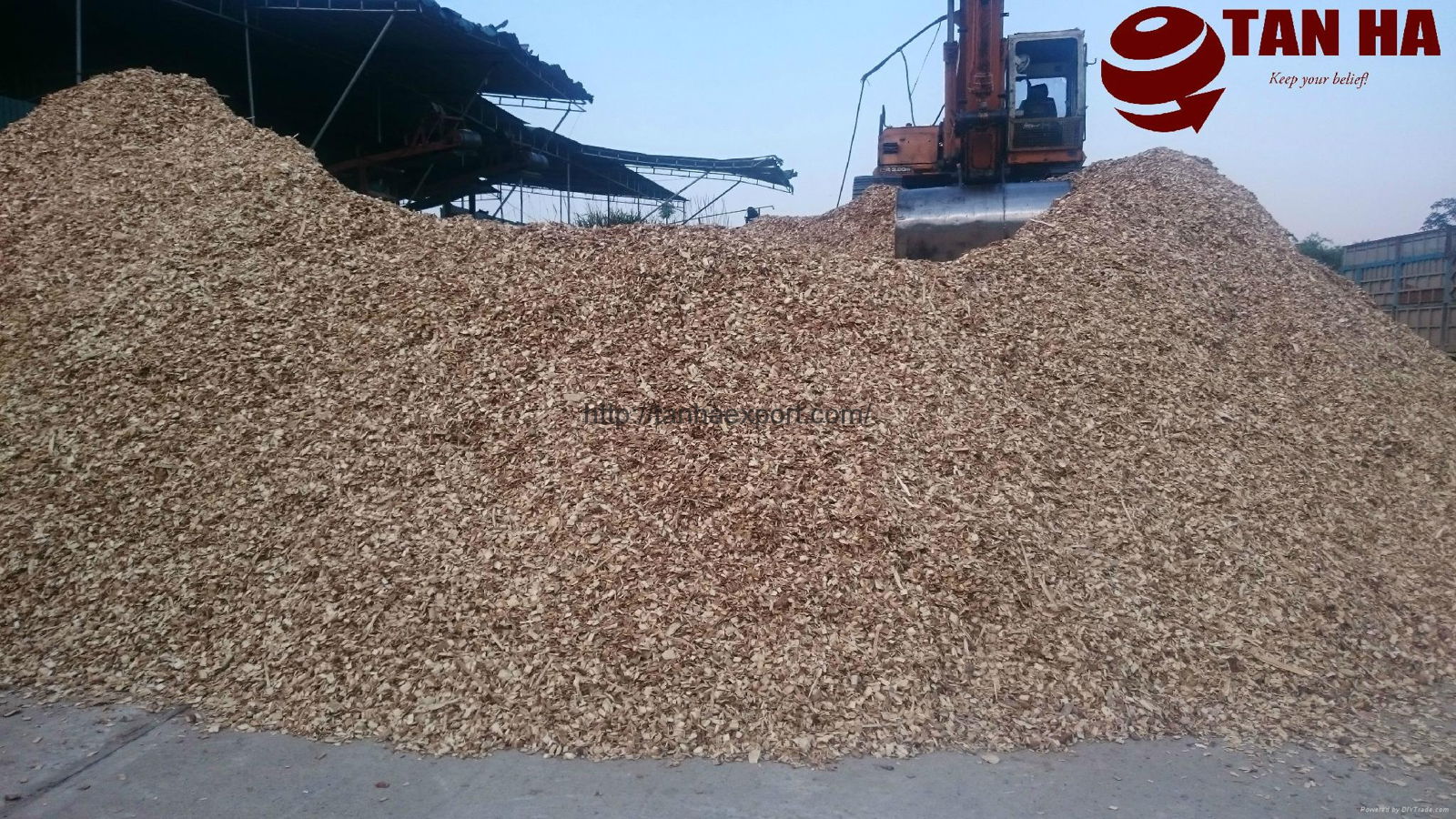 WOOD CHIPS 3