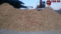 WOOD CHIPS 3