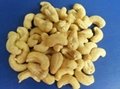 Cashew Nut W240 1