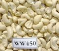 Cashew Nut W450