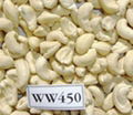 Cashew Nut W450