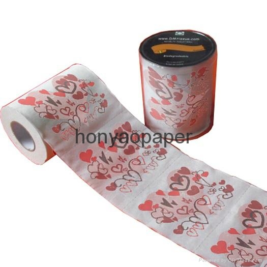 custom design printed toilet paper HY0018 H&Y (China Manufacturer