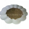 seaweed powder  3