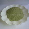 ulva powder  natural seaweed powder 3