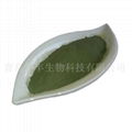 pet seaweed powder  seaweed powder