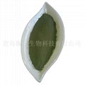 pet seaweed powder  seaweed powder  2