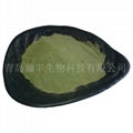 pet seaweed powder  seaweed powder  3