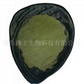 pet seaweed powder  seaweed powder  4