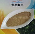 sargassum seaweed powder 3