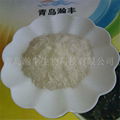 natural shell powder