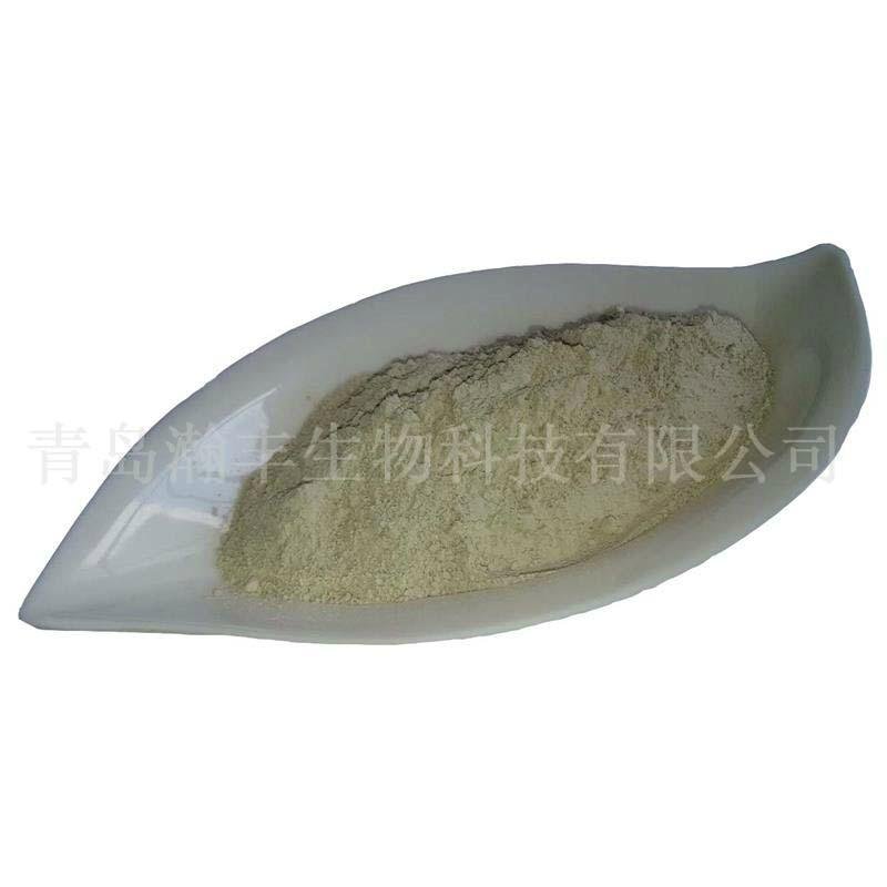 natural shell powder