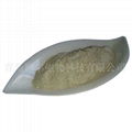 natural shell powder 1