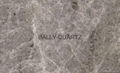 China Calacatta & Carrara quartz stone surfaces slabs factory|Marble looking 1