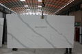 Manmade Engineered Quartz Stone Countertops China  5