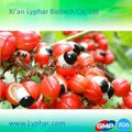 Lyphar ISO Certificate Wholesale High