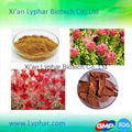 Lyphar  3% 5% 10% Rhodiola Rosea Extract