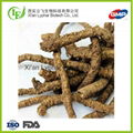 Hot Sales Lyphar ISO Certificate Wholesale Coptis Root Extract Berberine