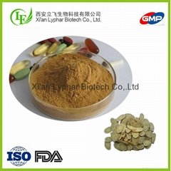 Manufacturer High Performance 30% 80% Astragalus Root Extract