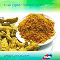 Lyphar ISO certificate Wholesale