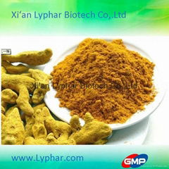 Lyphar ISO certificate Wholesale Curcumin Root Extract HPLC