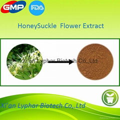 Lyphar High Quality Customized 6% HoneySuckle Flowers Exact