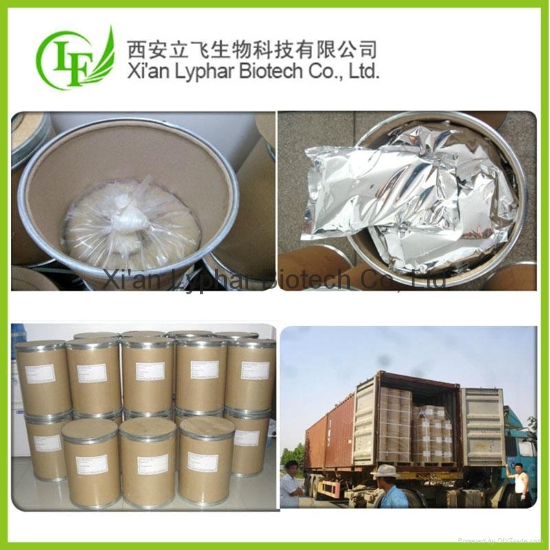 2016 High Quality Manufacturer Maca Extract Powder 4