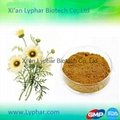 2016 High Quality Manufacturer Apigenin Extract OEM Factory