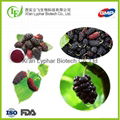 Lyphar 2016 Wholesale OEM high Quality Mulberry Extract Factory 1