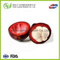Wholesale Top Quality Factory Supply Mangosteen Extract Powder 1